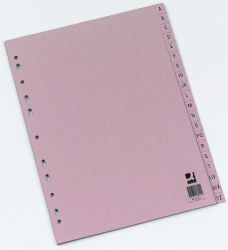 NDV0013