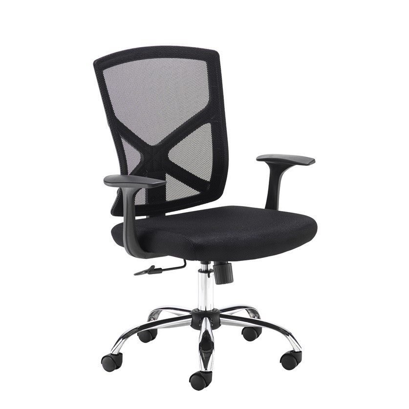 PSMESHCHAIRB