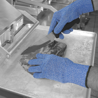 BSB-BDL-20006583