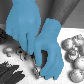 Polyco Blue nitrile powder free disposable glove